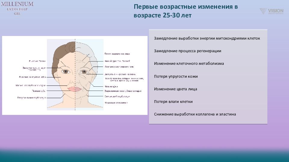 Проект кожа типирование уход возрастные изменения заболевания улучшение состояния 8 класс