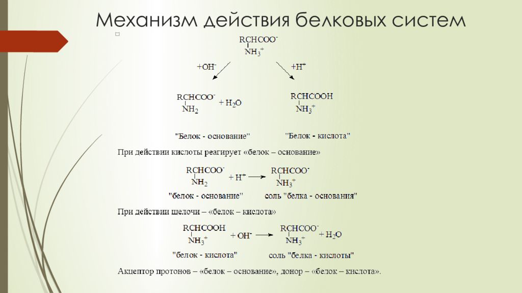 Система механизм. Механизм буферного действия белковой буферной системы. Механизм буферного действия буферных систем белковая. Белковая буферная система механизм действия. Механизм буферного действия белкового буфера.