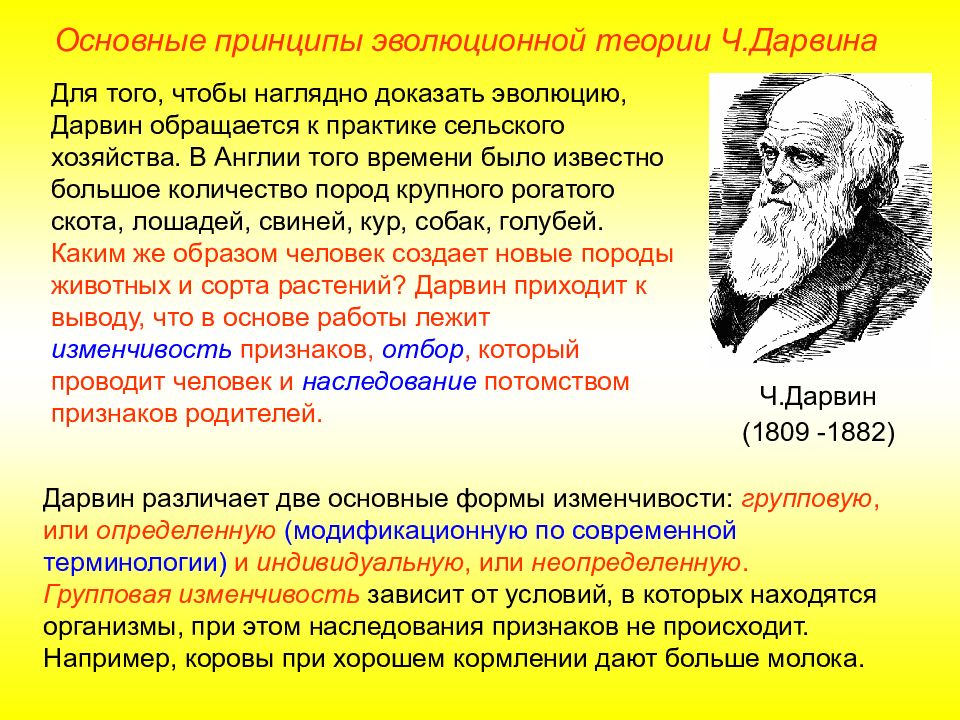 Современную эволюционную теорию можно представить в виде следующей схемы объясните руководствуясь