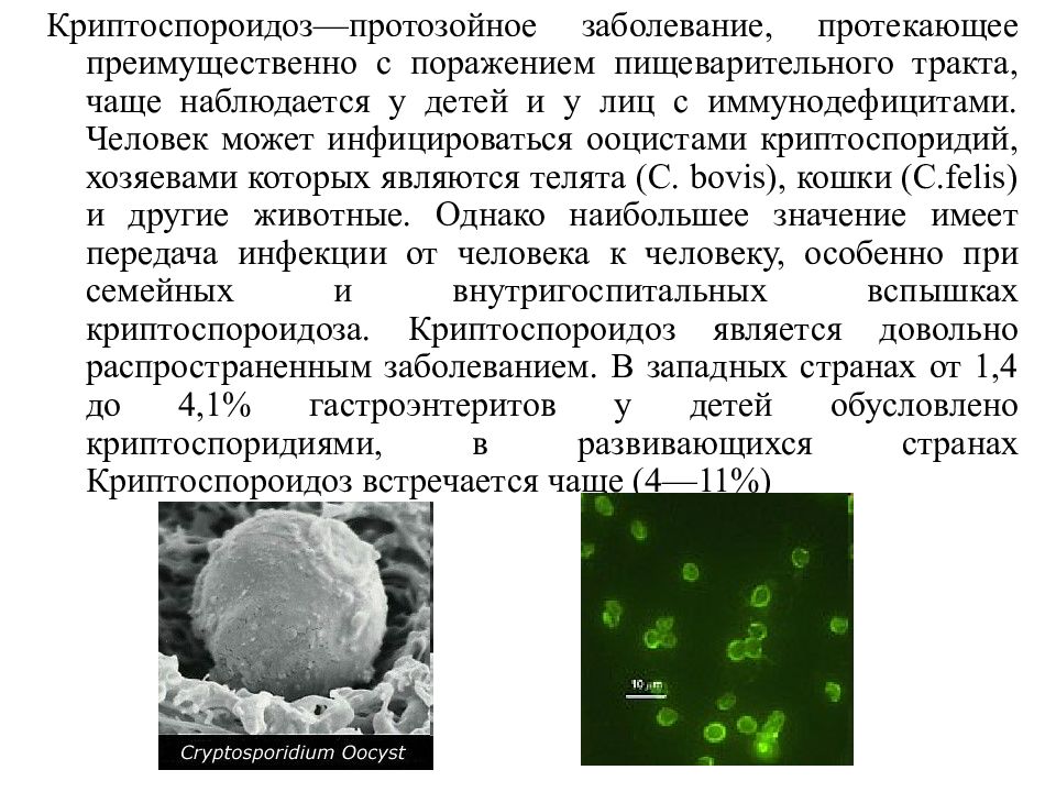 Лечение протозойных инфекций