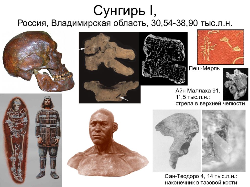 1 5 тыс лет. Кроманьонец Сунгирь. Стоянка древних людей Сунгирь.