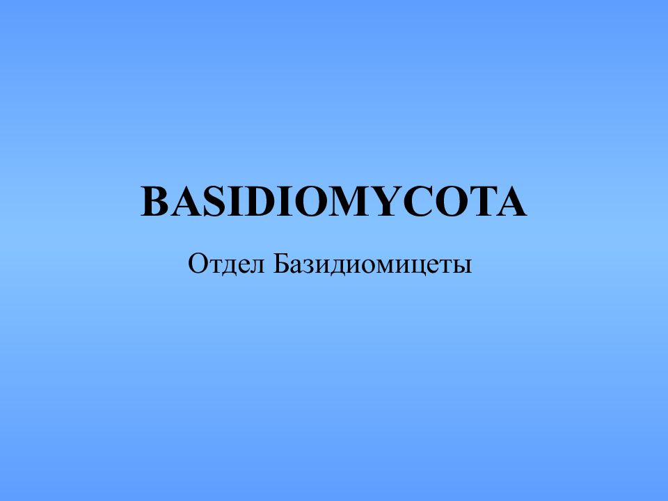 BASIDIOMYCOTA