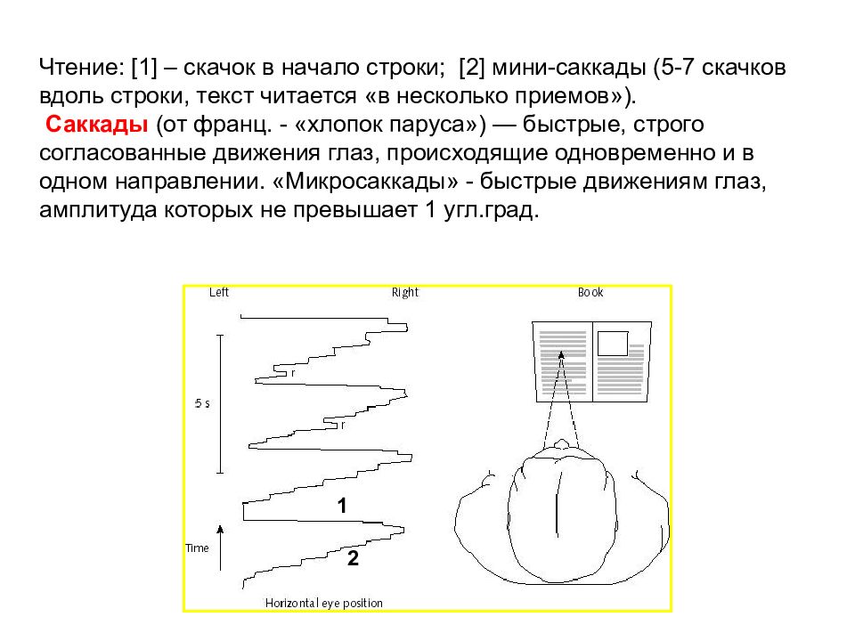 Саккады. Саккады и фиксации. Зрительные саккады. Произвольные саккады.