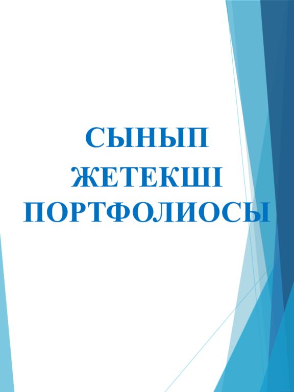 СЫНЫП ЖЕТЕКШІ ПОРТФОЛИОСЫ