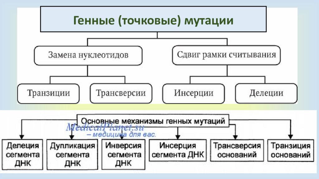 Генные последовательность нуклеотидов в генах. Генные точковые мутации. Приметы генной мутации. Генные точечные мутации примеры.