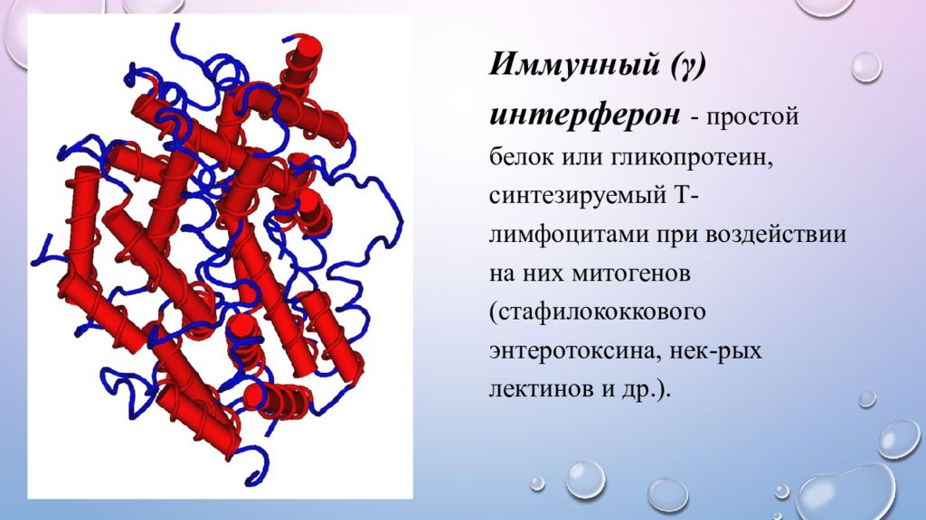 Интерферон что это. Интерфероны это белки с противовирусными. Функции белков интерферон. Интерферон белок функция. Защитная функция интерферона.