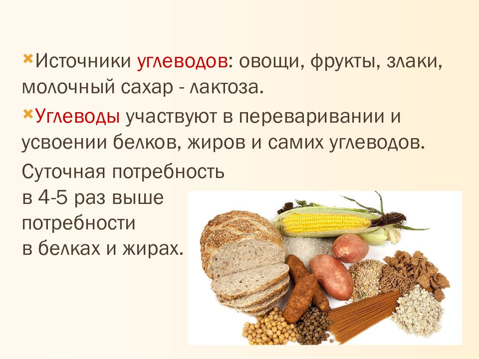 Растительные углеводы продукты. Правильное питание углеводы овощи. Источники углеводов. Углеводы в овощах. Овощи без углеводов.