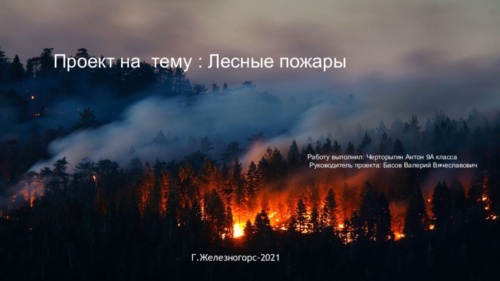 Проект на тему : Лесные пожары