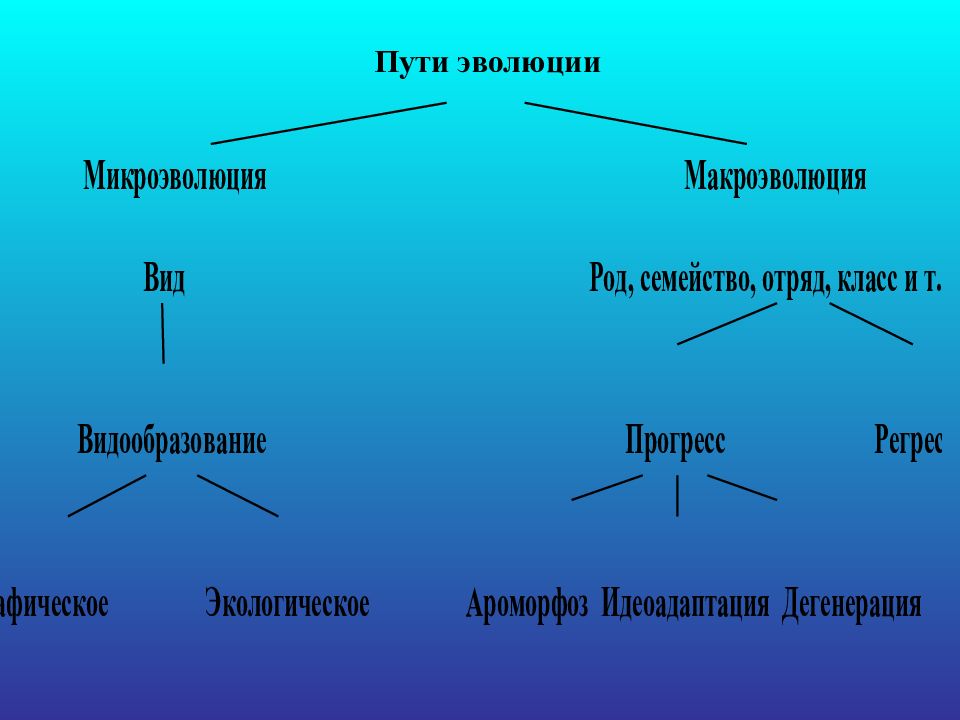 Какие пути эволюции. Пути эволюции. Пути развития эволюции. Эволюционный путь. 3 Пути эволюции.