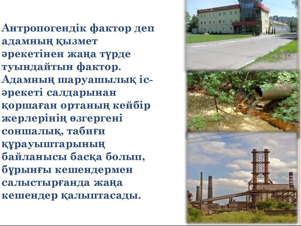 Өнеркәсіптік өндірістің антропогендік факторларының қоршаған ортаға әсерін