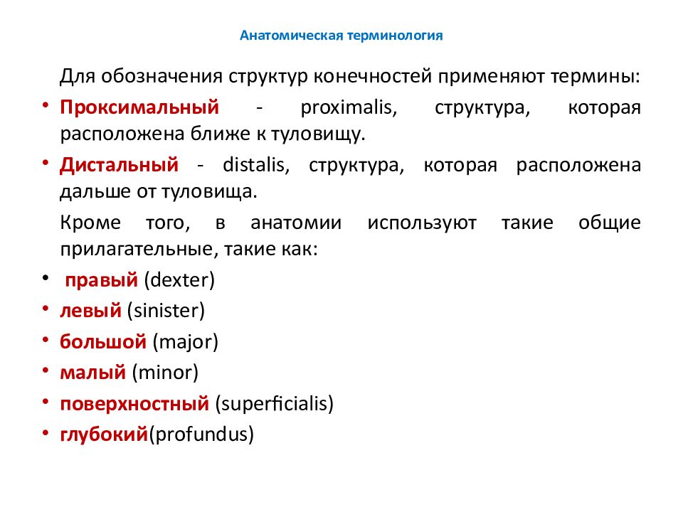 Словарь терминов по анатомии