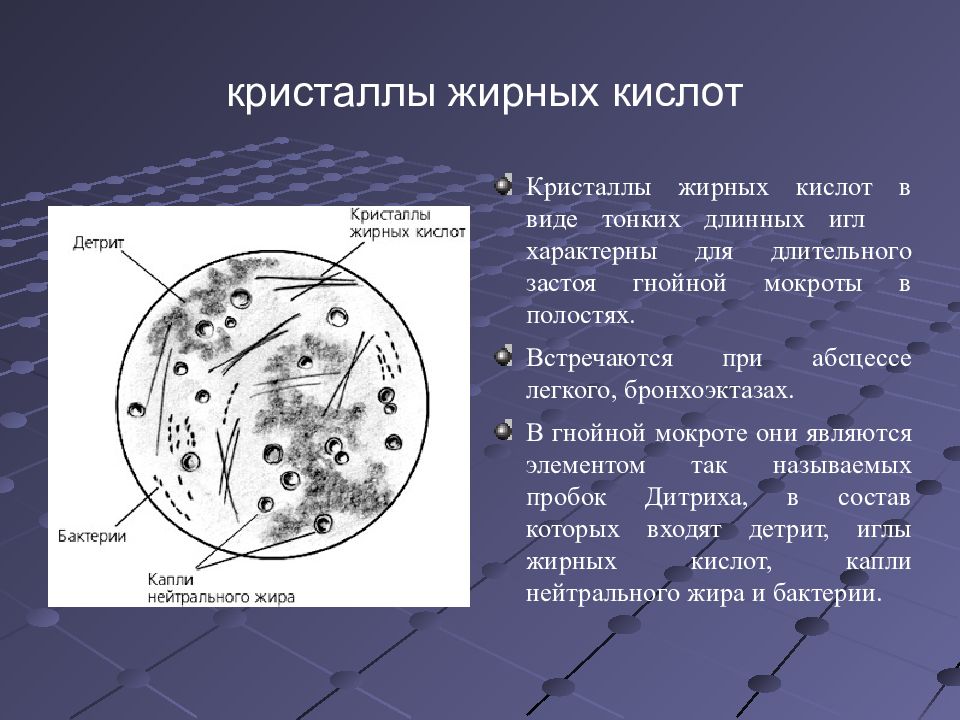 Жирные кислоты в кале. Кристаллы жирных кислот микроскопия кала. Кристаллы холестерина в мокроте. Кристаллы Шарко Лейдена в Кале микроскопия. Кристаллы жирных кислот в мокроте.