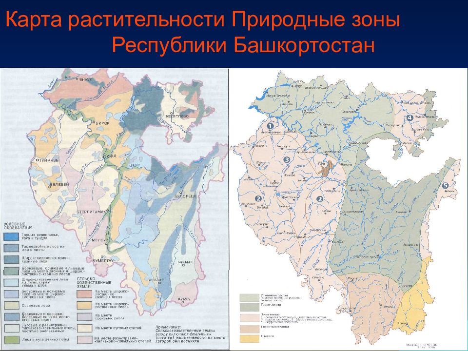 Природные зоны республики. Природные зоны Республики Башкортостан. Карта почв Башкирии. Карта природных зон Башкирии. Почвы Башкирии по районам.