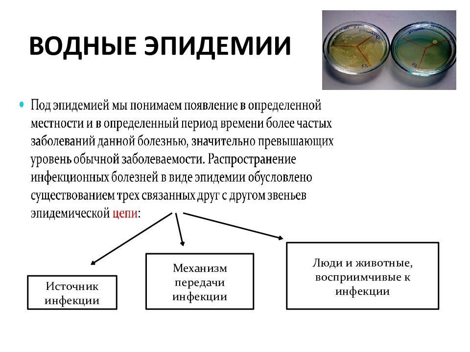 Признаки водных эпидемий. Особенности водных эпидемий. Характеристика водных эпидемий. Характерные признаки водных эпидемий. Профилактика водных эпидемий.