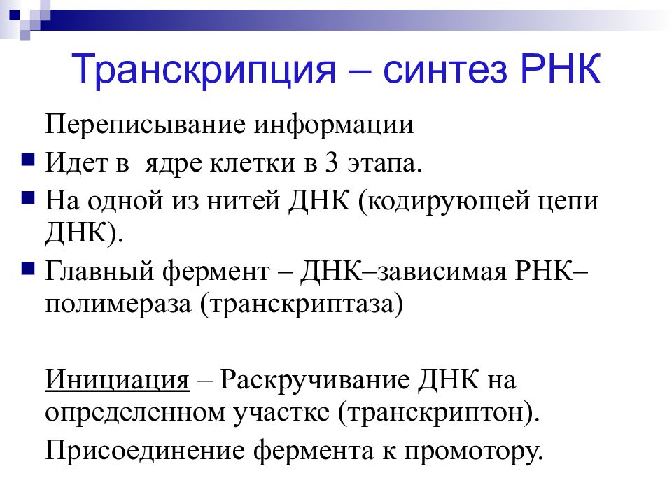 Кодирующая днк. Синтез РНК. Биосинтез РНК транскрипция. Транскрипция это Синтез. Транскрипция Синтез РНК.