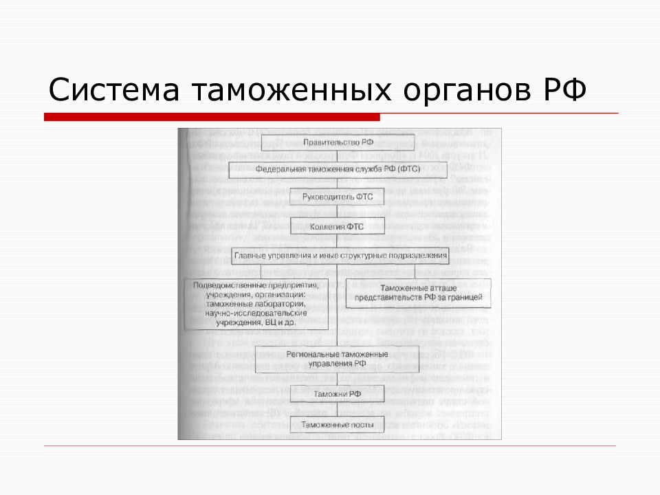 Система таможенных органов. Система таможенных органов схема. Система таможенных органов ФТС России. Система структура таможенных органов. Звенья системы таможенных органов.