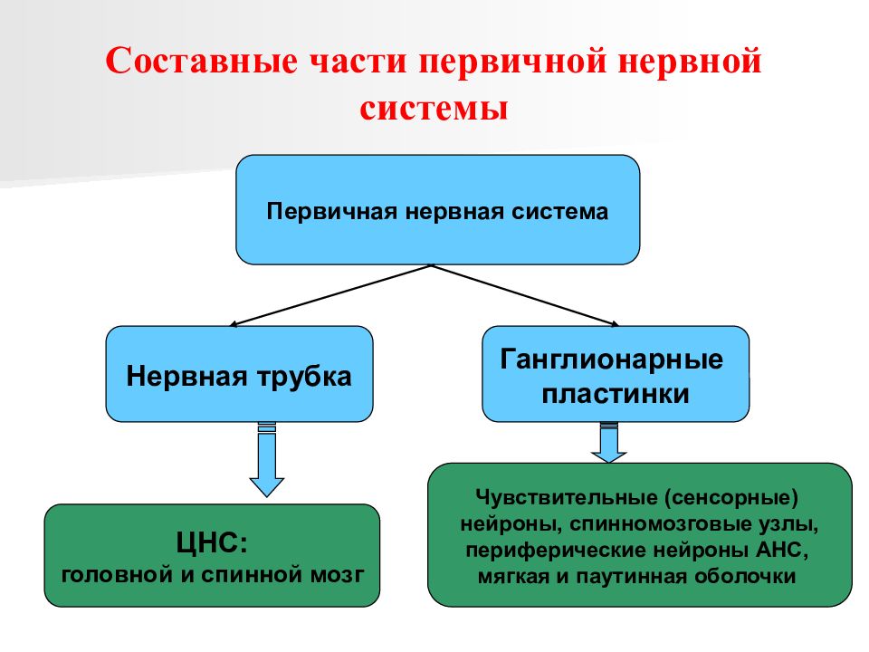 Что входит в систему первичных мер. Первичная система.