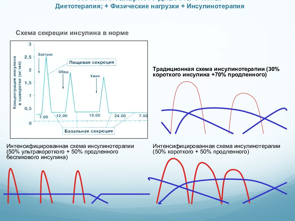 Базис болюсная схема