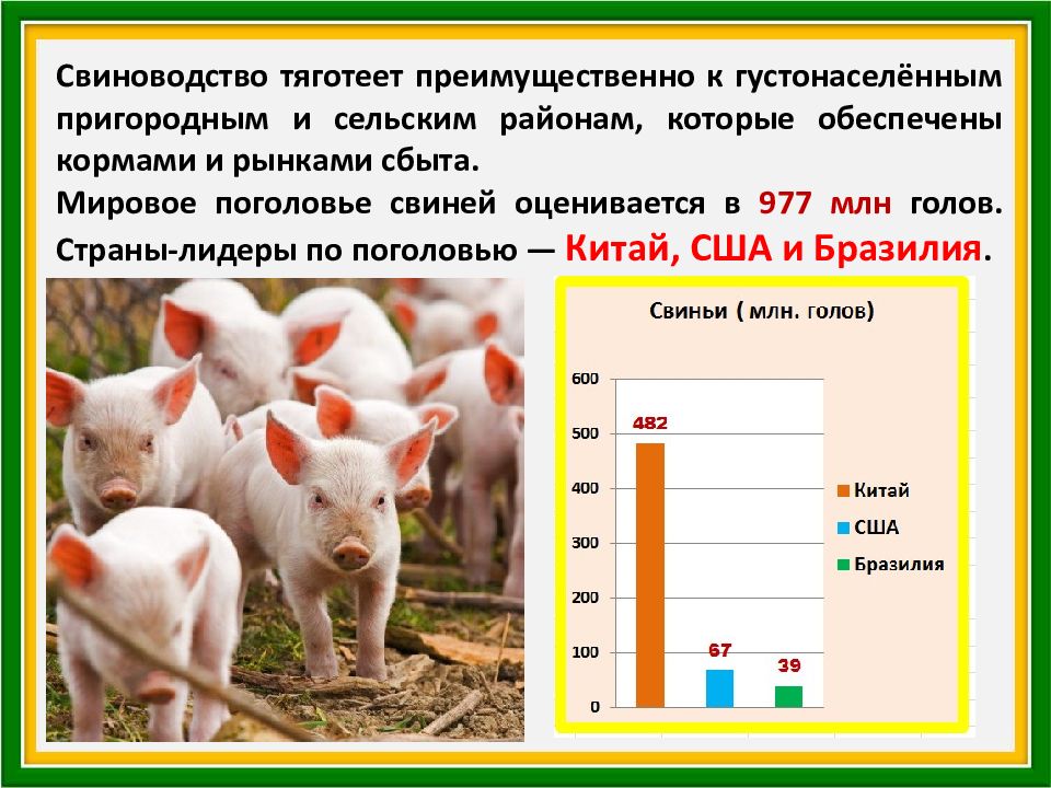 География 10 класс презентация сельское хозяйство мира 10 класс