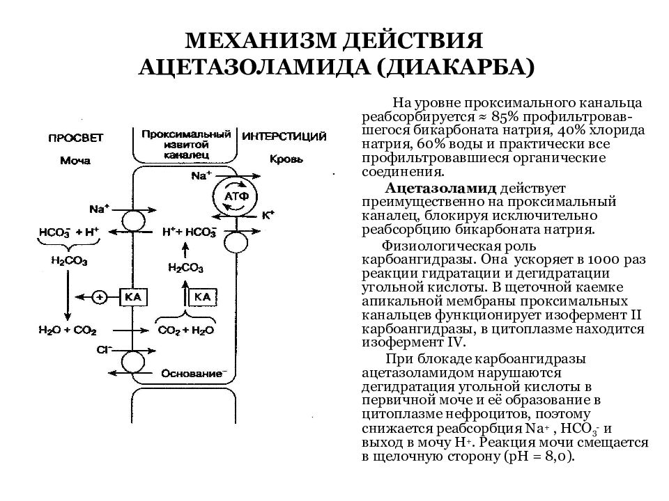 Панангин с диакарбом схема