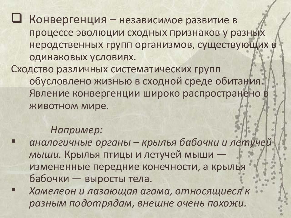 независимое развитие сходных признаков в эволюции. сходство строения органов. схожие признаки у неродственных групп. сравнительно анатомические доказательства эволюции животных. скелет человека и собаки сравнение.