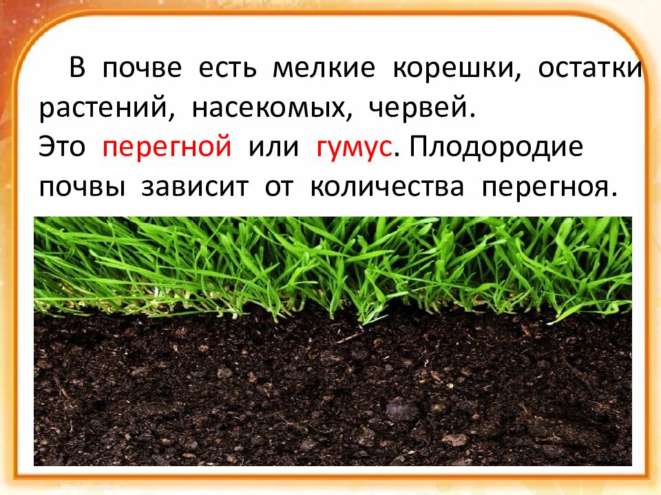 Что такое почва презентация 3 класс окружающий мир плешаков презентация