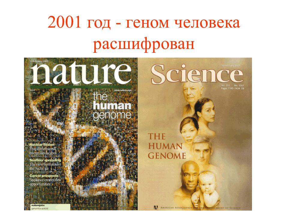 Расшифрованные геномы. Геном человека расшифрован. 2001 Год расшифрован геном человека. Геном человека расшифровка обложка times. Психогенетика. Том 2.