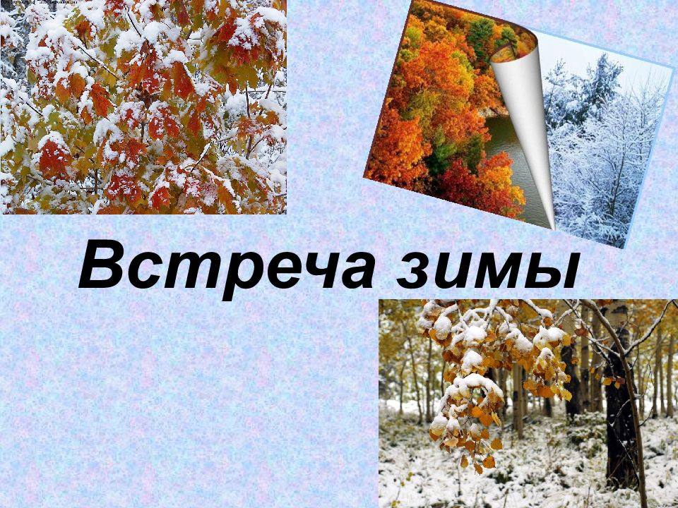 Никитина встреча зимы. Иван саввич встреча зимы. Встреча зимы никитин. Встреча зимы иван никитин савич. Никитин встреча зимы стихотворение.