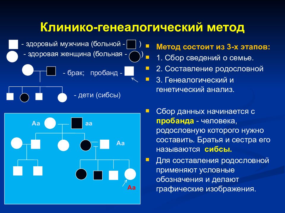 Генеалогический метод