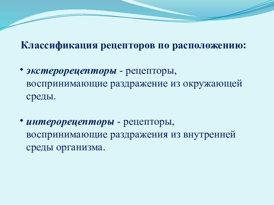 В рецепторах происходит. Чувствительные рецепторы. Нервные окончания рецепторы. Отделы сенсорной системы периферический проводниковый центральный. Нервные рецепторы.