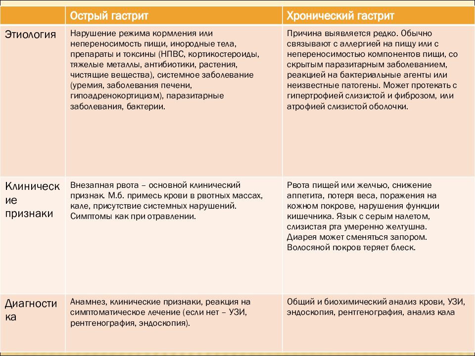 Схема лечения гастрита у собак