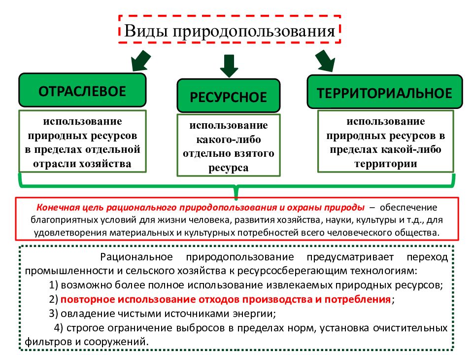 Система управления в природе презентация