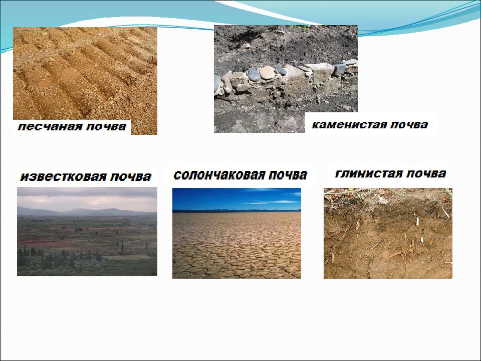 Дав почва. Песчано каменистая почва. Структура песчаной почвы. Каменистые почвы характеристика. Виды каменистых грунтов.