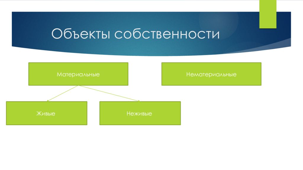 Предмет собственности. Объекты собственности. Живые объекты собственности. Нематериальные объекты права собственности. Материальная и нематериальная собственность.