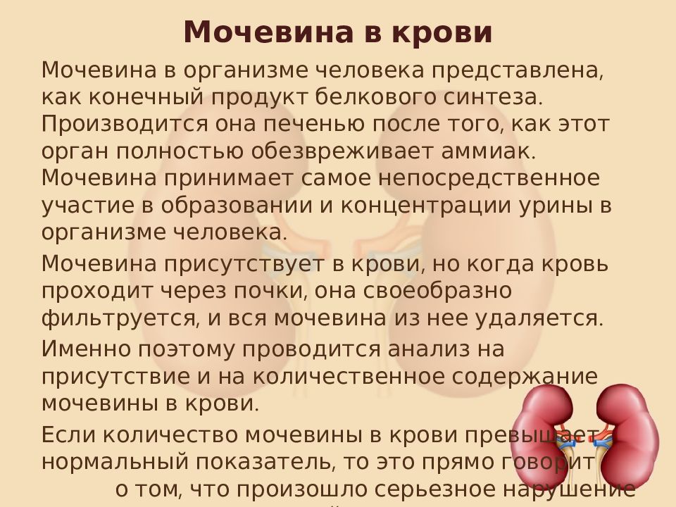 Повышенная мочевина. Мочевина в крови. Повышение уровня мочевины крови причины. Норма мочевины в крови человека. Мочевины в крови больше нормы.