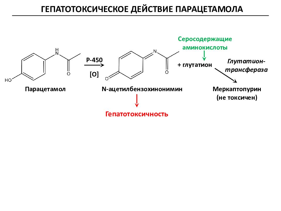 Действие парацетамола. Реакции биотрансформации парацетамола. Парацетамол механизм действия схема. Биотрансформация парацетамола биохимия. Механизм гепатотоксического действия парацетамола.