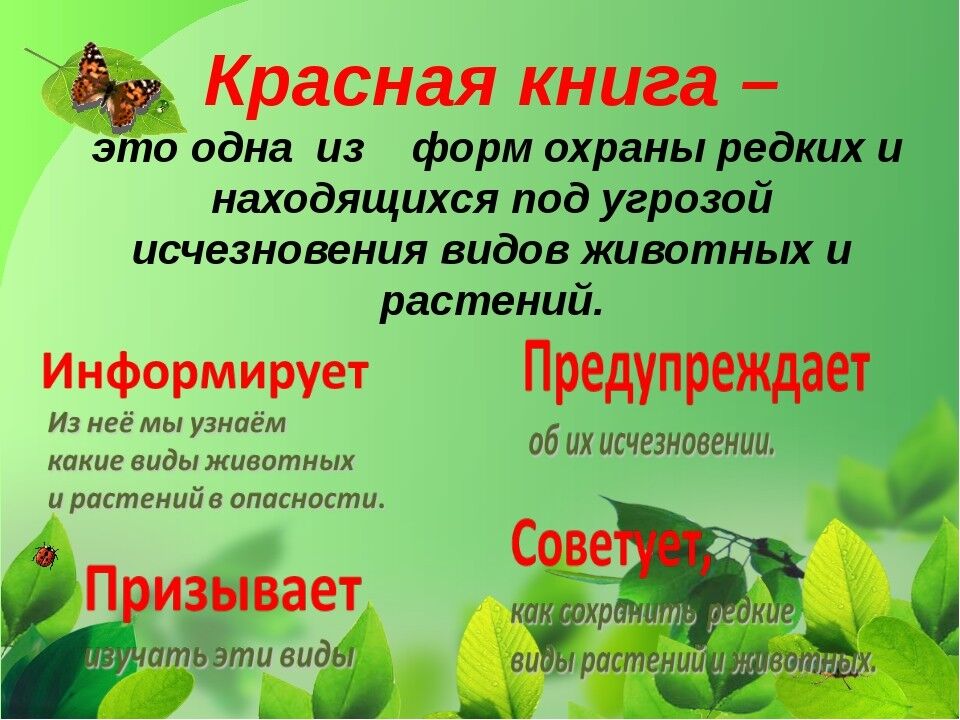 ОХРАНА РАСТИТЕЛЬНОГО МИРА