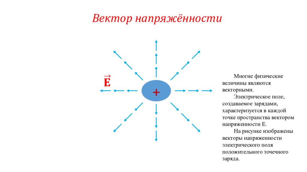 Покажите вектор напряженности в точке 1. Вектор напряженности. Электрическое поле характеризуется векторной величиной. Вектор напряженности положительного точечного заряда. ПОЛПОЛЕ является векторным пространством.