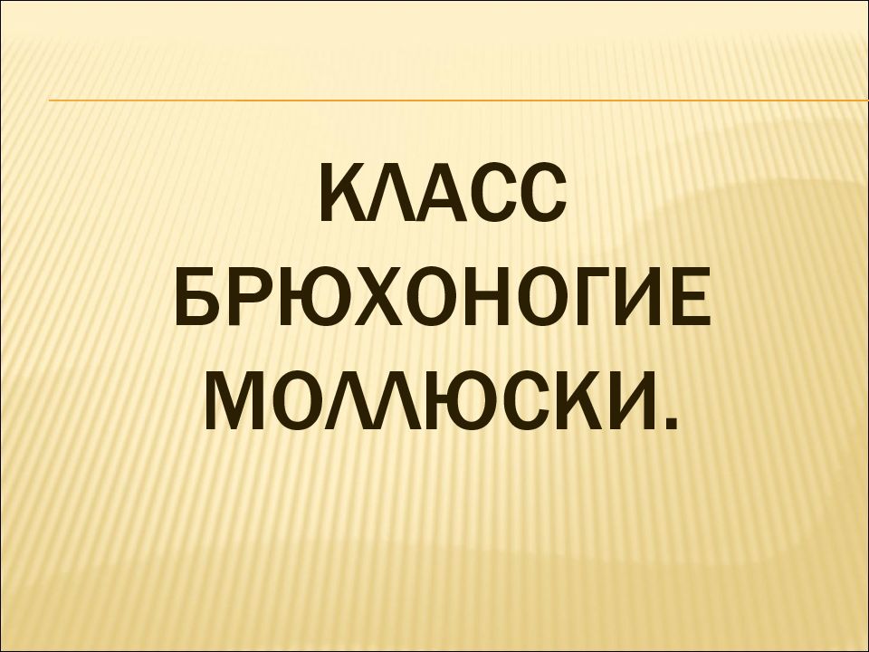 Составьте план предполагаемой экскурсии на тему древние обитатели нашей планеты