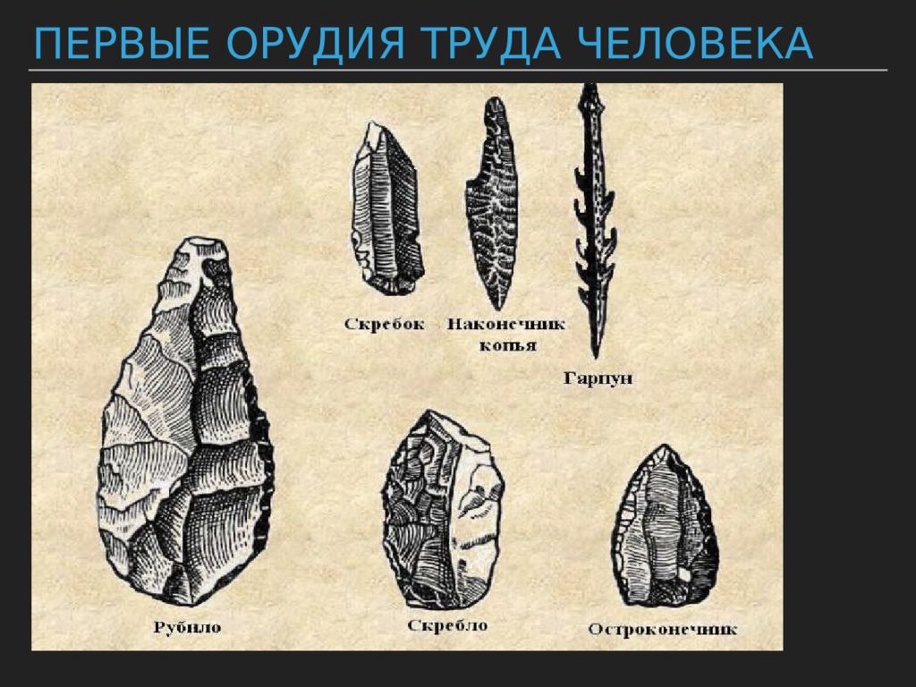 Особенности строения образ жизни орудия труда. Неолит орудия труда. Первые орудия труда. Орудия труда в период неолита. Человек разумный орудия труда.