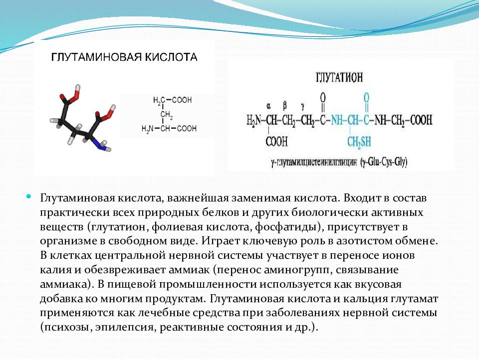 Глутаминовая кислота. Глутаминовая кислота строение. Глутаминовая кислота функции. Глутаминовая кислота функции в организме.