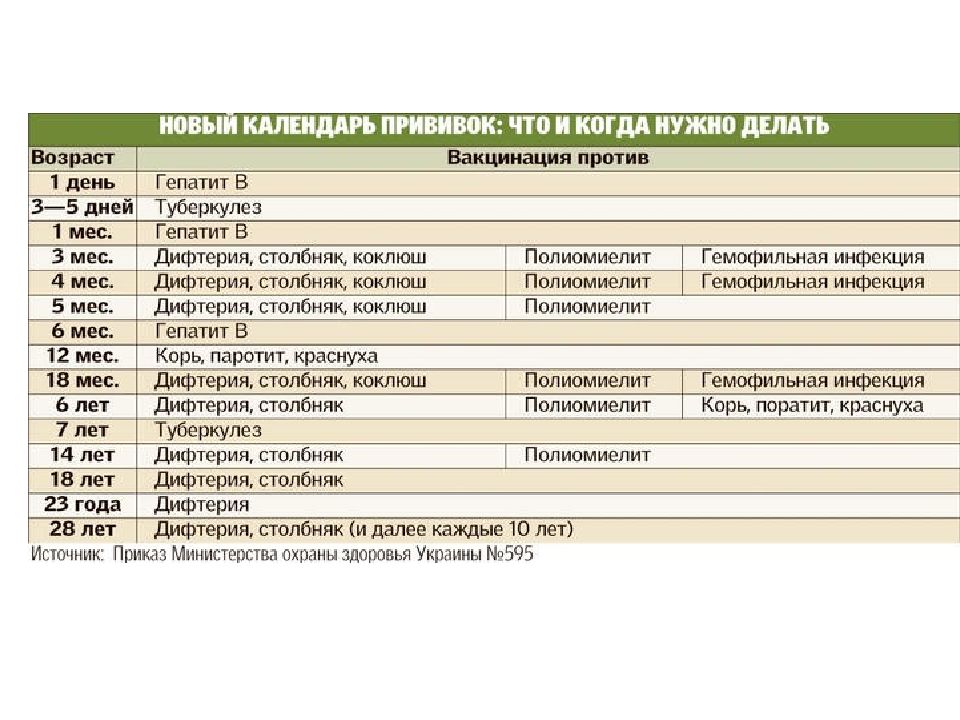 Краснуха схема вакцинации взрослых