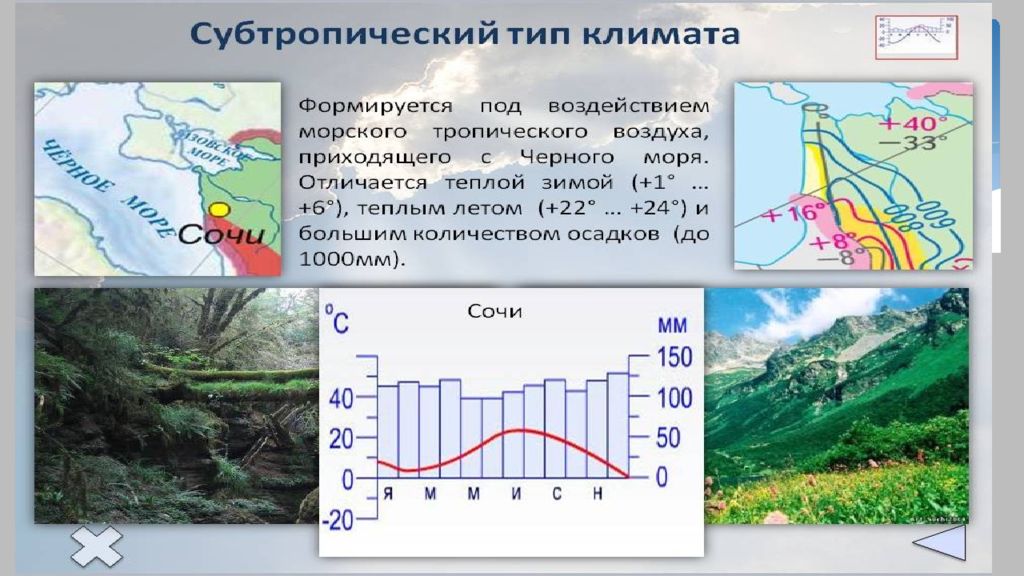 Типы климата картинки