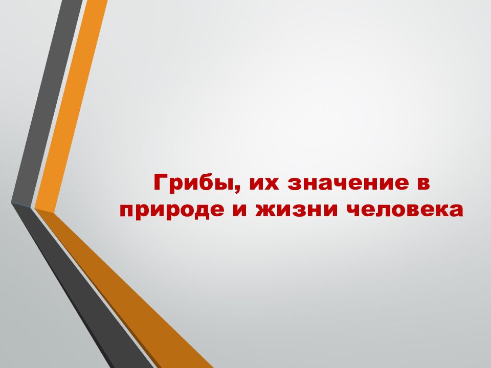 Грибы, их значение в природе и жизни человека