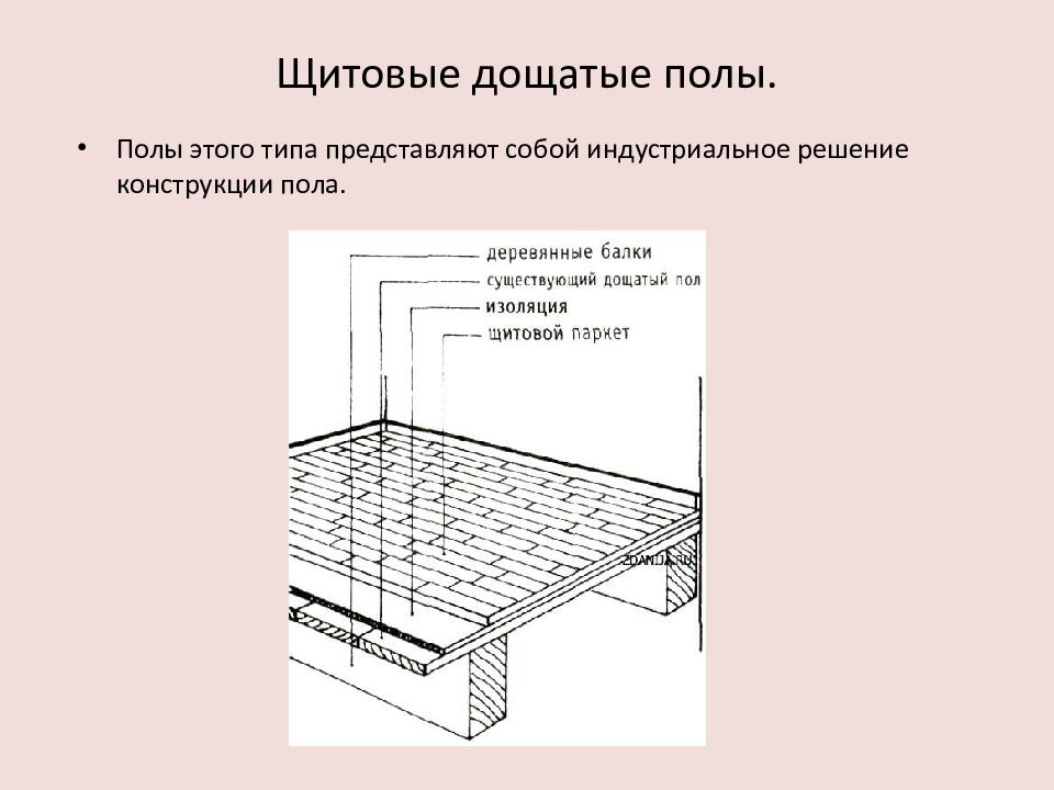 Презентация пол полу