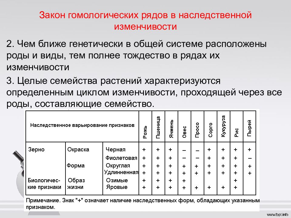 Презентация закон гомологических рядов наследственной изменчивости 10 класс