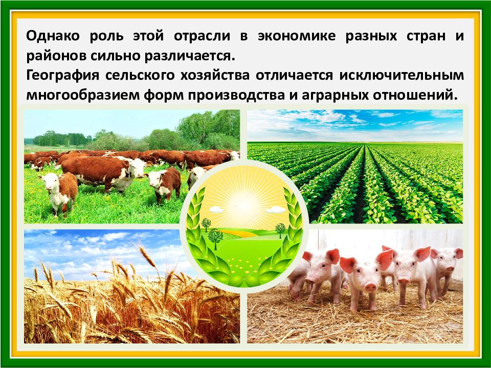Чем отличается хозяйство. Роль сельского хозяйства. Отрасли экономики сельское хозяйство. География сельского хозяйства. Мир сельского хозяйства.