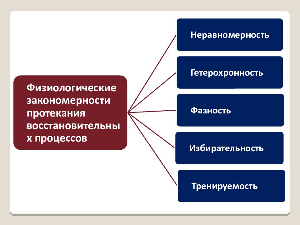 Физиология физического воспитания и спорта