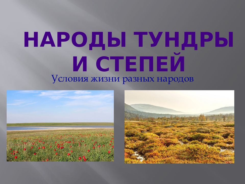 Народы тундры и степей
