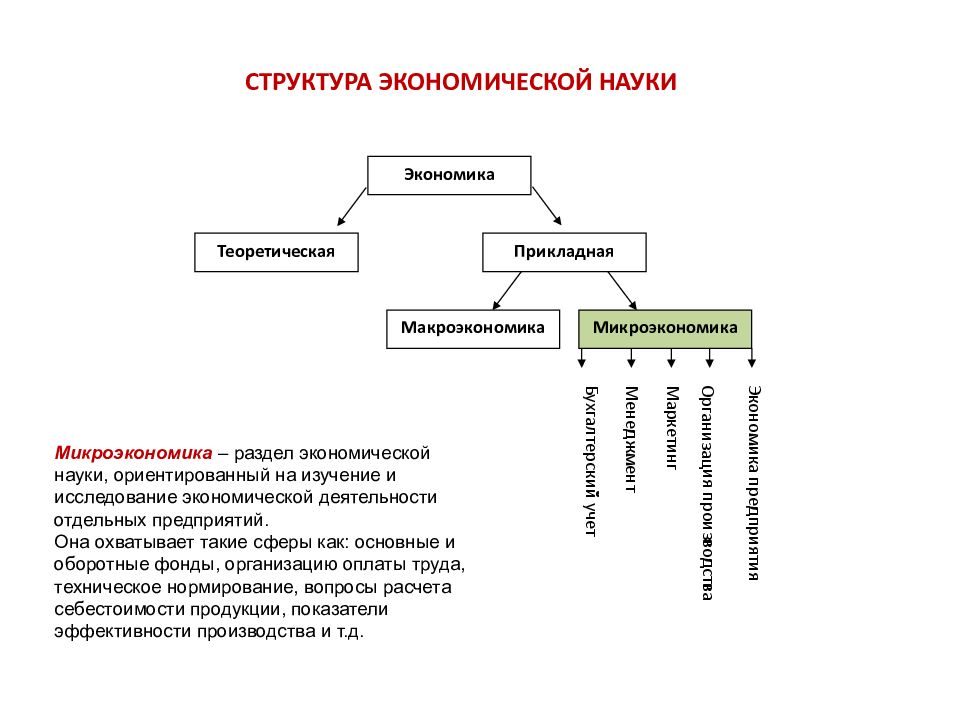 2 1 экономика и экономическая наука. Схема структура экономической науки. Структура экономики как науки. Структура современной экономической науки кратко. Экономика как наука. Структура экономической науки.